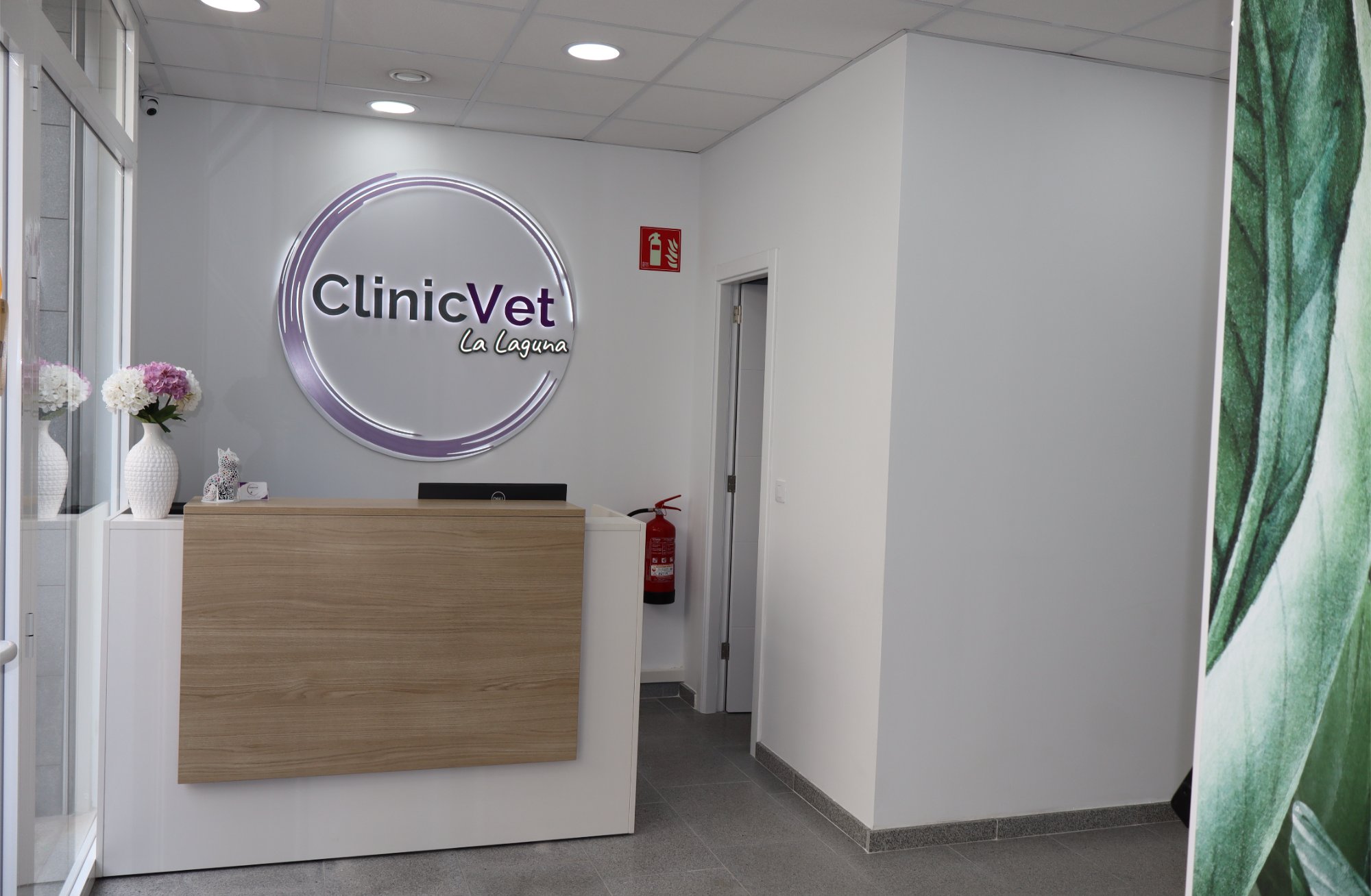 ClinicVet